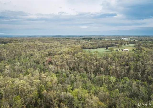 Photo 9 of Sale Pending at Tract 2 Cleavesville Rd, Bland, MO 65014 | MLS# MIS26029607 | Listing updated on 2026-09-03