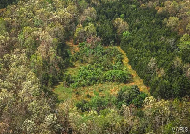 Photo 2 of Sale Pending at Tract 3 Cleavesville Rd, Bland, MO 65014 | MLS# MIS26029615 | Listing updated on 2026-09-03