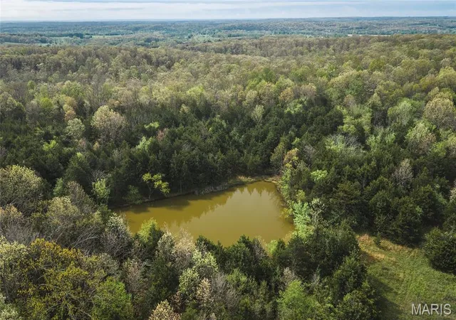 Photo 3 of Sale Pending at Tract 3 Cleavesville Rd, Bland, MO 65014 | MLS# MIS26029615 | Listing updated on 2026-09-03
