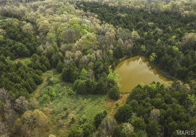 Photo 8 of Sale Pending at Tract 3 Cleavesville Rd, Bland, MO 65014 | MLS# MIS26029615 | Listing updated on 2026-09-03