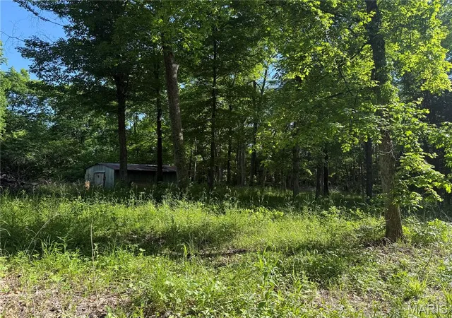 Homes for sale in Bonne Terre, MO | 0 Rustic Acres Dr, Bonne Terre, MO 63628 | MLS# MIS26029623