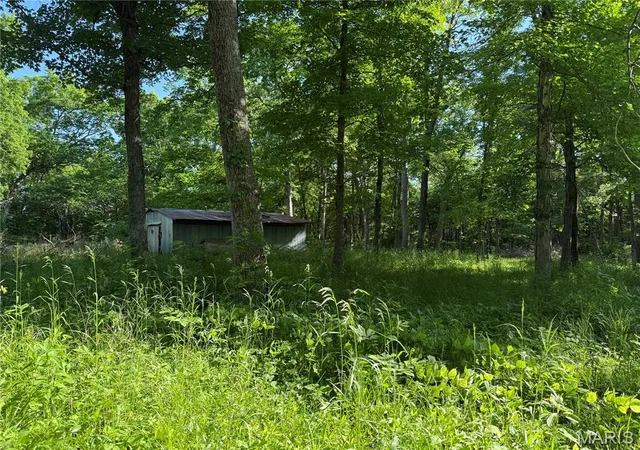 Homes for sale in Bonne Terre, MO | 0 Rustic Acres Dr, Bonne Terre, MO 63628 | MLS# MIS26029623