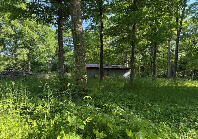 Homes for sale in Bonne Terre, MO | 0 Rustic Acres Dr, Bonne Terre, MO 63628 | MLS# MIS26029623