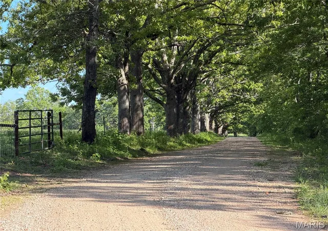 Homes for sale in Salem, MO | Tract 6 County Rd 4215, Salem, MO 65560 | MLS# MIS26029632