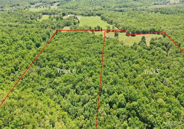 Homes for sale in Salem, MO | Tract 6 County Rd 4215, Salem, MO 65560 | MLS# MIS26029632