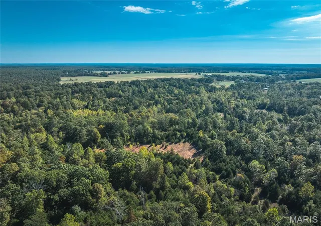 Homes for sale in Newburg, MO | Lot 2 State Route J, Newburg, MO 65550 | MLS# MIS26029822