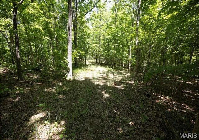 Homes for sale in Patton, MO | Tract 3 Bcr 930, Patton, MO 63662 | MLS# MIS26030011
