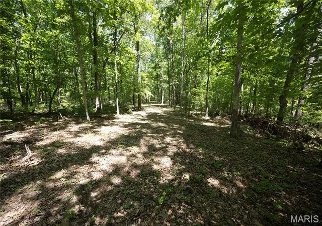 Homes for sale in Patton, MO | Tract 3 Bcr 930, Patton, MO 63662 | MLS# MIS26030011