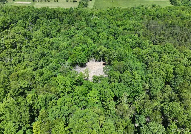 Homes for sale in Patton, MO | Tract 3 Bcr 930, Patton, MO 63662 | MLS# MIS26030011