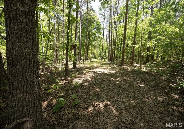 Homes for sale in Patton, MO | Tract 4 Bcr 930, Patton, MO 63662 | MLS# MIS26030017