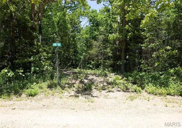 Homes for sale in Patton, MO | Tract 4 Bcr 930, Patton, MO 63662 | MLS# MIS26030017