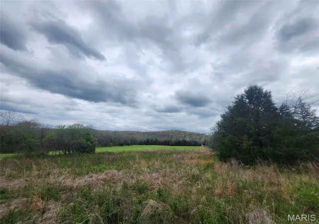 Photo 3 of Land for sale at 0 M  County Road 14 252, Drury, MO 65638 | MLS# MIS26030150 | Listing updated on 2026-05-17