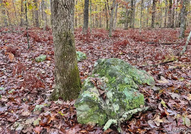 3rd image of Tract 1 County Rd 4215, Salem, MO 65560 | MLS# MIS26030282