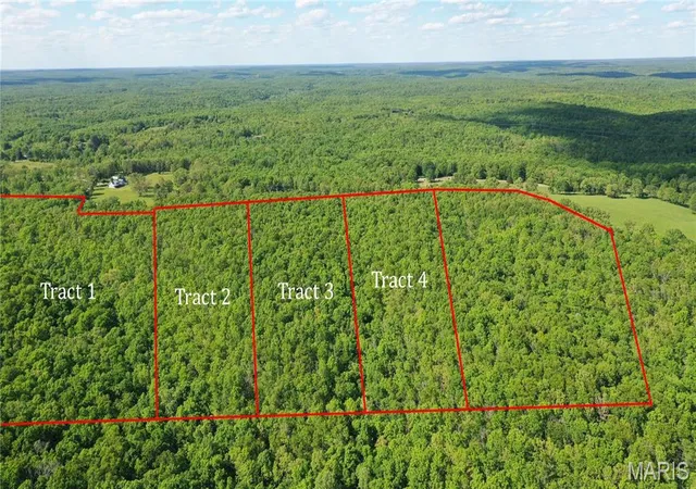 5th image of Tract 1 County Rd 4215, Salem, MO 65560 | MLS# MIS26030282