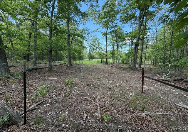 4th image of Tract 7 County Rd 4210, Salem, MO 65560 | MLS# MIS26030317