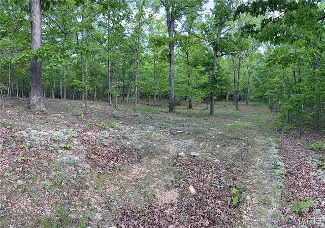 5th image of Tract 7 County Rd 4210, Salem, MO 65560 | MLS# MIS26030317
