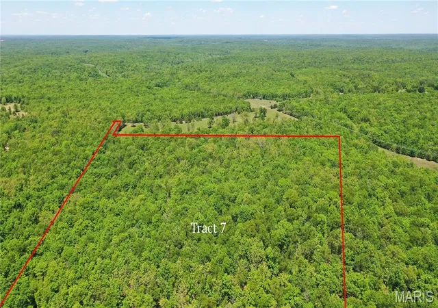 6th image of Tract 7 County Rd 4210, Salem, MO 65560 | MLS# MIS26030317