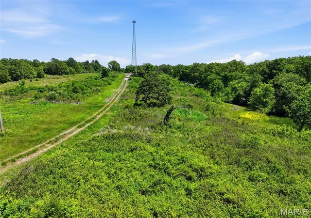 Homes for sale in Mountain View, MO | 2810 County Road 2390, Mountain View, MO 65548 | MLS# MIS26030521