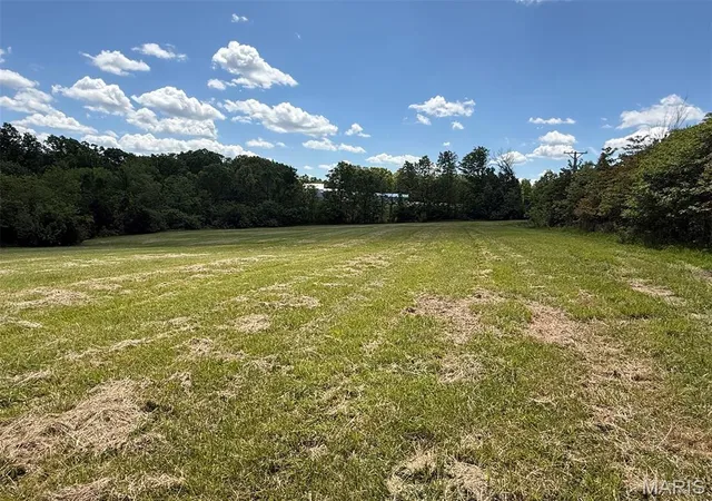 Homes for sale in Bowling Green, MO | 00 Hwy Nn, Bowling Green, MO 63334 | MLS# MIS26030522