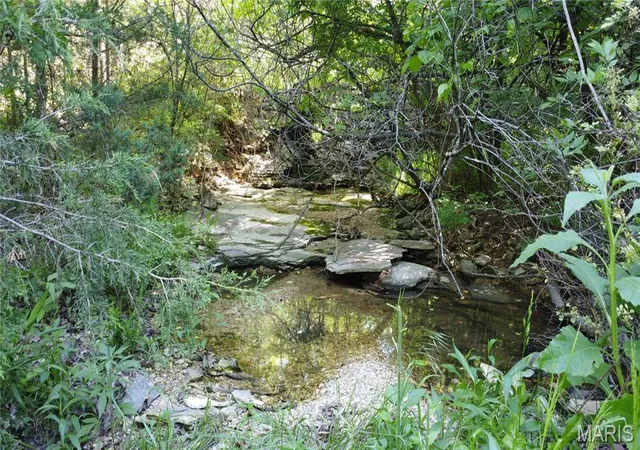 4th image of (Undisclosed), De Soto, MO 63020 | MLS# MIS26030607
