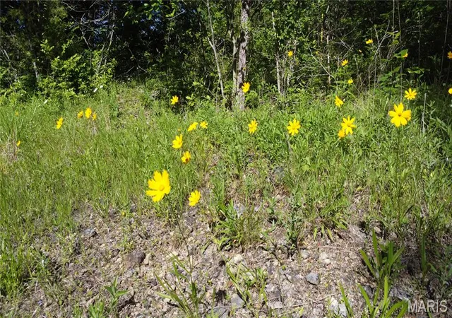 5th image of (Undisclosed), De Soto, MO 63020 | MLS# MIS26030607