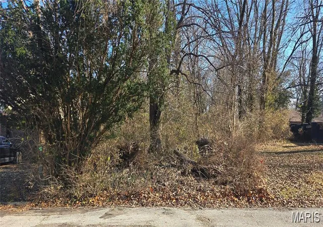 Photo 3 of Land for sale at 0 Nottingham Ln, Belleville, IL 62223 | MLS# MIS26030620 | Listing updated on 2026-05-17
