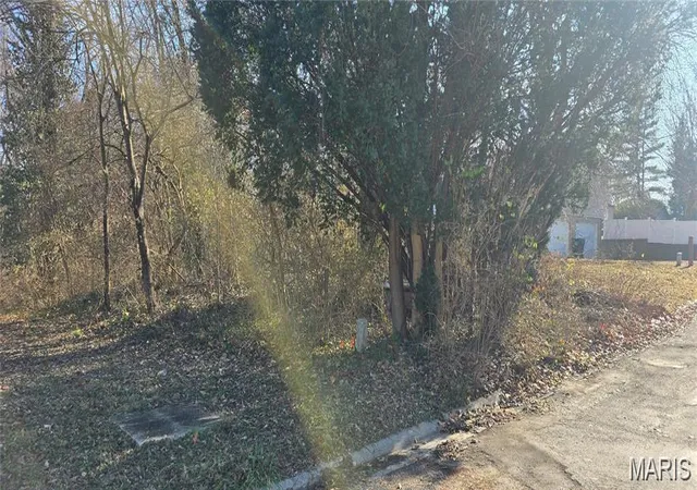 Photo 4 of Land for sale at 0 Nottingham Ln, Belleville, IL 62223 | MLS# MIS26030620 | Listing updated on 2026-05-17
