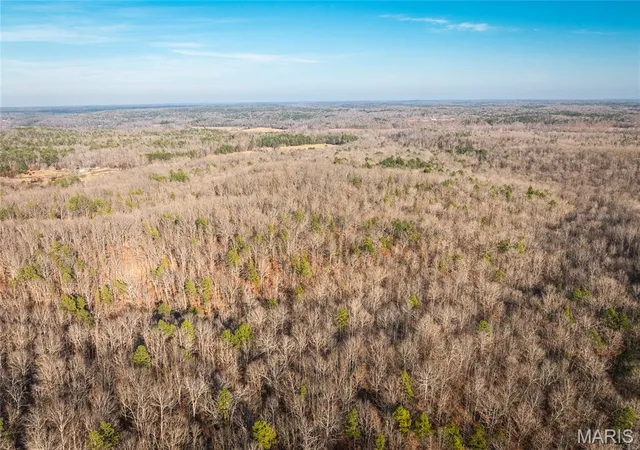 15th image of 000 Wayne 215, Hiram, MO 63944 | MLS# MIS26030876