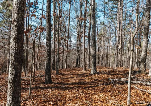 2nd image of 000 Wayne 215, Hiram, MO 63944 | MLS# MIS26030876