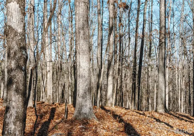 3rd image of 000 Wayne 215, Hiram, MO 63944 | MLS# MIS26030876