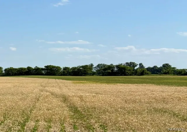 1st image of 0 S Hwy Bb, East Prairie, MO 63845 | MLS# MIS26030953