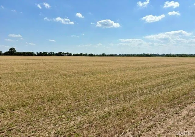 2nd image of 0 S Hwy Bb, East Prairie, MO 63845 | MLS# MIS26030953