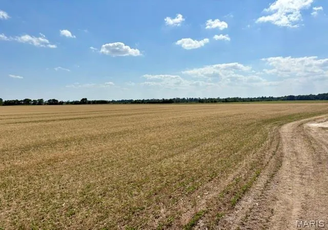 3rd image of 0 S Hwy Bb, East Prairie, MO 63845 | MLS# MIS26030953