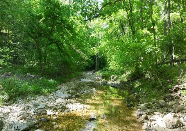 Homes for sale in New Florence, MO | 43 +/- Ac Hagedorn Ln, New Florence, MO 63363 | MLS# MIS26030966