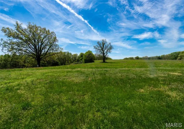Homes for sale in St Clair, MO | 1470 Gravois Rd, St Clair, MO 63077 | MLS# MIS26030969