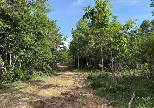 Homes for sale in Annapolis, MO | Tract 1 Hidden Valley, Annapolis, MO 63628 | MLS# MIS26030983