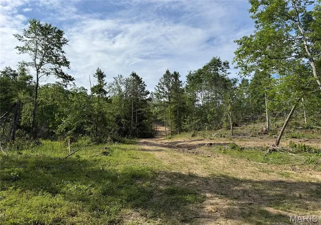 Homes for sale in Annapolis, MO | Tract 1 Hidden Valley, Annapolis, MO 63628 | MLS# MIS26030983