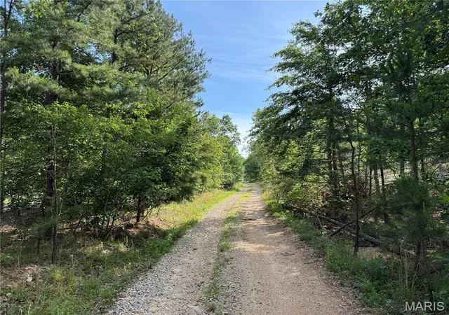 Homes for sale in Annapolis, MO | Tract 1 Hidden Valley, Annapolis, MO 63628 | MLS# MIS26030983