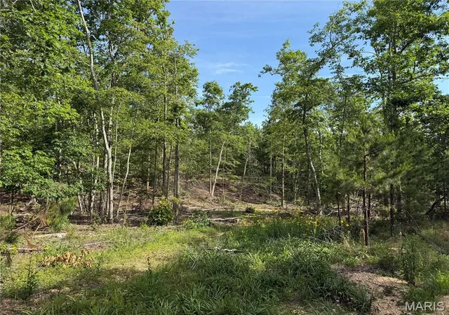 Homes for sale in Annapolis, MO | Tract 1 Hidden Valley, Annapolis, MO 63628 | MLS# MIS26030983