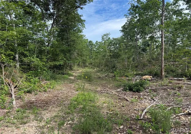 Homes for sale in Annapolis, MO | Tract 2 Hidden Valley, Annapolis, MO 63628 | MLS# MIS26030986