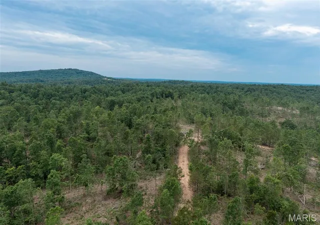 Homes for sale in Annapolis, MO | Tract 3 Hidden Valley, Annapolis, MO 63628 | MLS# MIS26030992