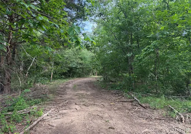Homes for sale in Annapolis, MO | Tract 3 Hidden Valley, Annapolis, MO 63628 | MLS# MIS26030992
