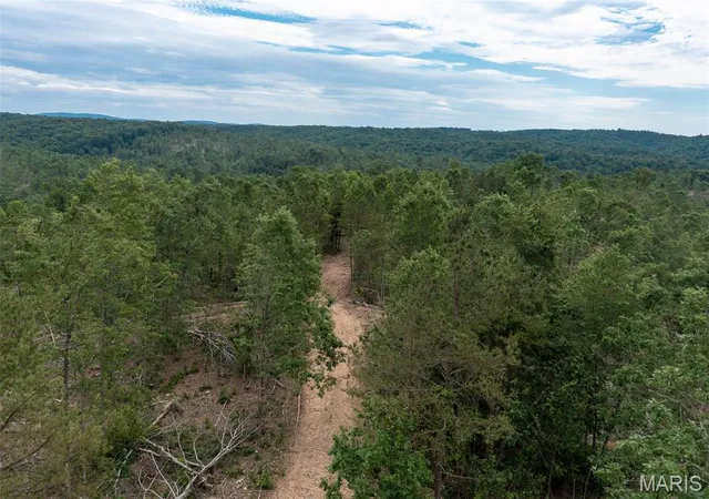Homes for sale in Annapolis, MO | Tract 4 Hidden Valley, Annapolis, MO 63628 | MLS# MIS26030995