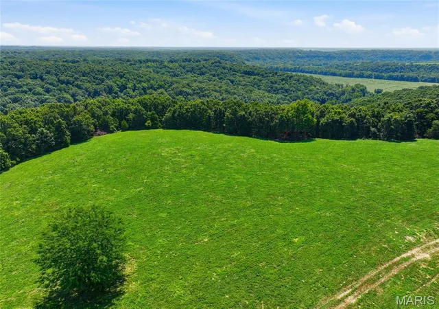 3rd image of 0 Cardinal Rd, Dixon, MO 65459 | MLS# MIS26031259