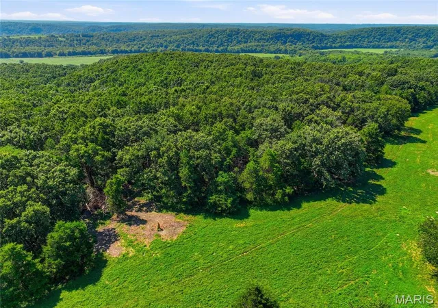 4th image of 0 Cardinal Rd, Dixon, MO 65459 | MLS# MIS26031259