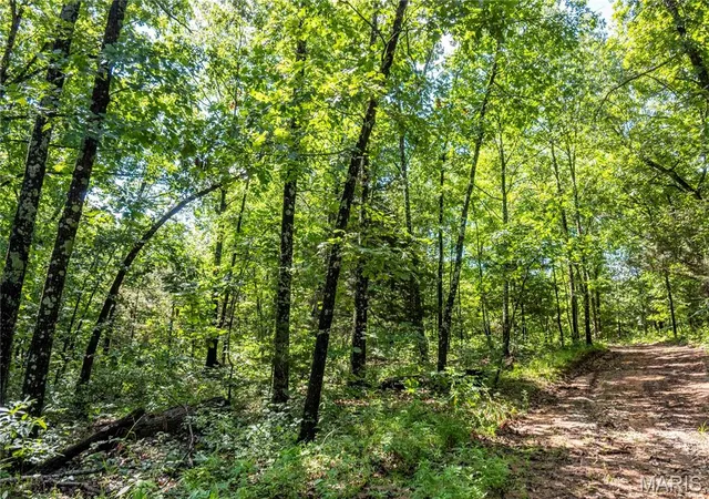 Photo 4 of House for sale at 119 Ac N State Hwy 47, Warrenton, MO 63383 | MLS# MIS26031313 | Listing updated on 2026-08-05