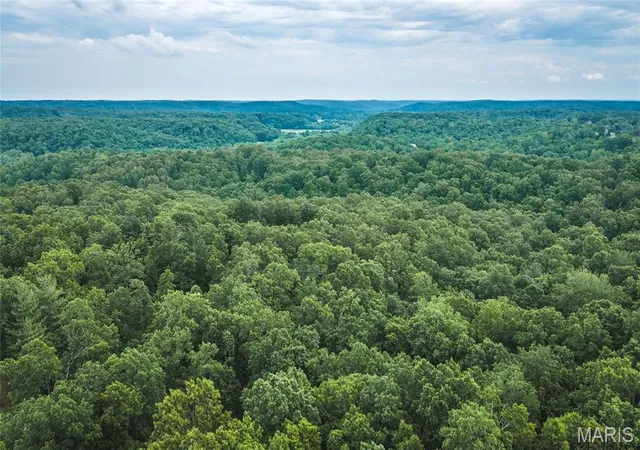 Homes for sale in Marble Hill, MO | 0 Tbd Hwy 51, Marble Hill, MO 63764 | MLS# MIS26031365
