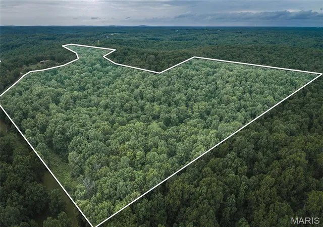 Homes for sale in Marble Hill, MO | 0 Tbd Hwy 51, Marble Hill, MO 63764 | MLS# MIS26031365
