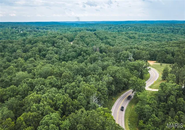 Homes for sale in Marble Hill, MO | 0 Tbd Hwy 51, Marble Hill, MO 63764 | MLS# MIS26031365