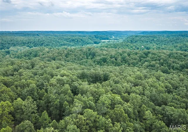 Homes for sale in Marble Hill, MO | 0 Tbd Hwy 51, Marble Hill, MO 63764 | MLS# MIS26031365
